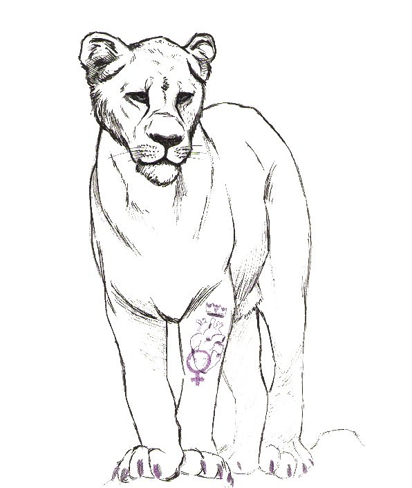 bicirroja's tweet photo. Ya quisiéramos nosotros tener los cojones que tienen ellas.
•
#8m #8demarzo #diadelamujer #palante #fuertes #valientes #novias #madres #hermanas #hijas #amigas #ilustracion #illustration #lioness #cordoba #cordobaesp #bicirroja https://t.co/SBkzOhVVfU