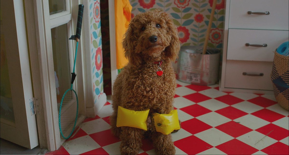 WaffleWonderDog's tweet photo. 1pm
Waffle is disappointed that he can't go swimming with Evie and her friend, Anaya, so he decides to go on an adventure to find them!  

Another brand new Waffle the Wonder Dog, today at 5.20pm on CBeebies.  @CBeebiesHQ #WaffleTheWonderDog https://t.co/PK5PzZZgij