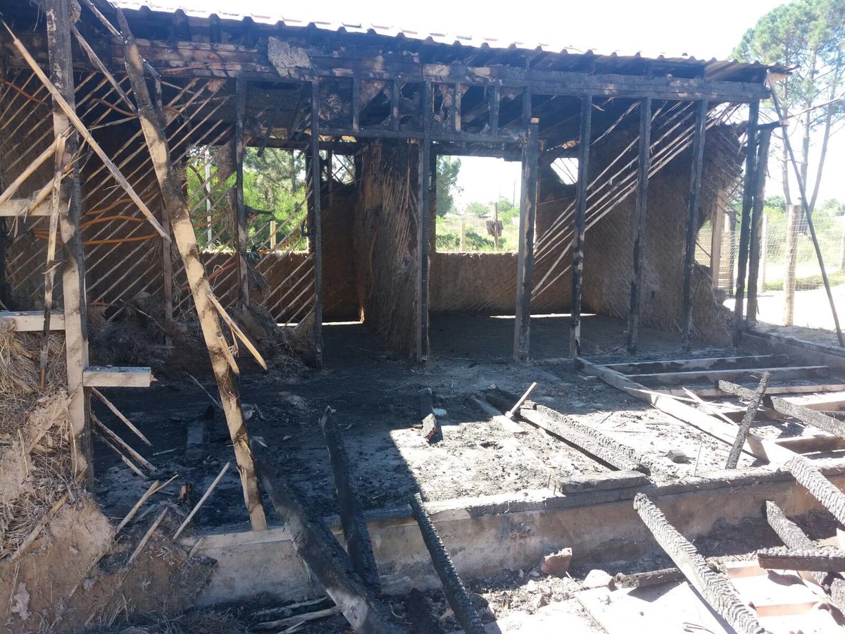 VOLVER A EMPEZAR... seguimos ayudando a Fabián a superar el mal momento luego del incendio intencional de la casa que estaba por terminar de construir. Recordamos la cuenta en ABITAB 85507(Fabian Acosta) para colaborar. También precisa madera, clavos, arena. Muchas gracias
