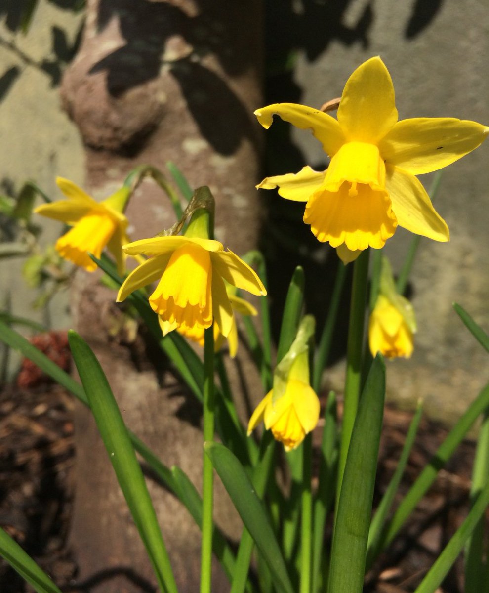 Do_What_Matters tweet media