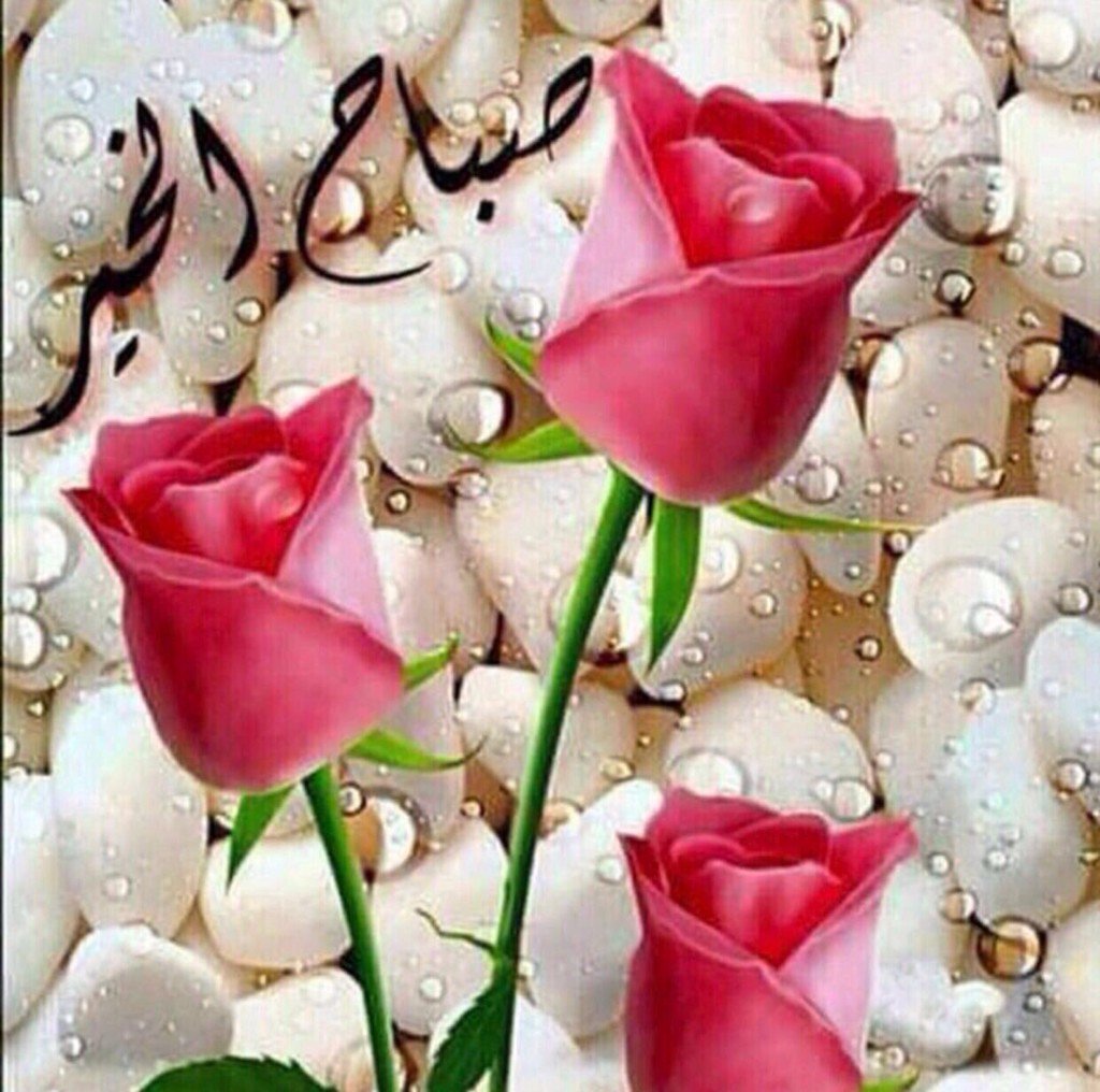ابو ضاري tweet media