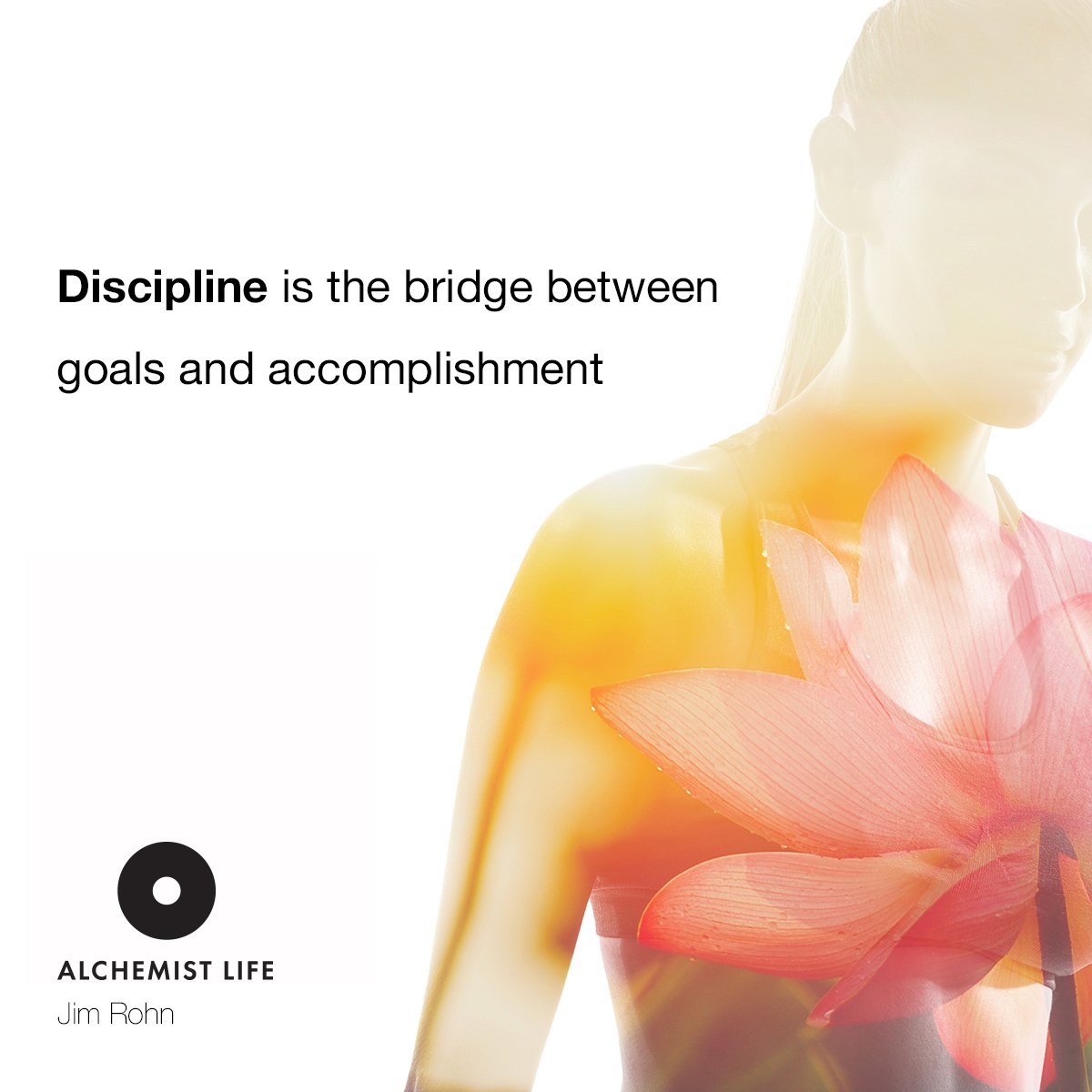 AlchemistLifeUK tweet picture