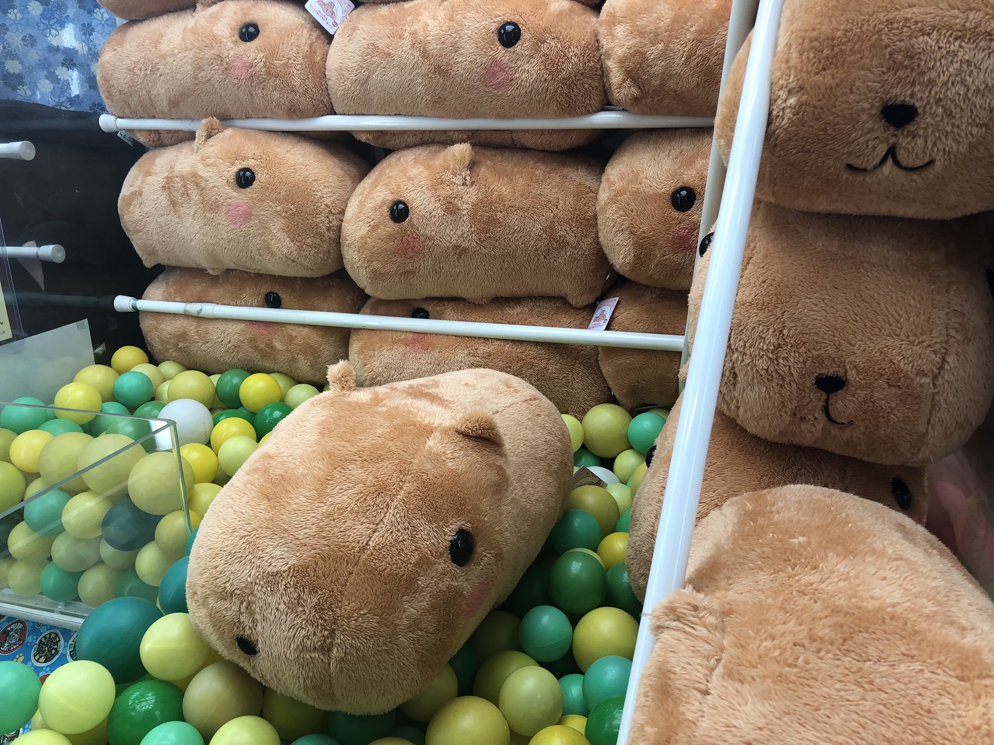 カピパラさん大きなぬいぐるみまとめ売り カピバラさん 大きいぬいぐるみセット - メルカリ