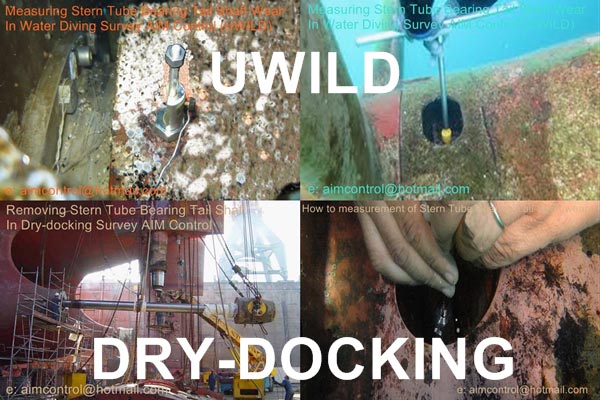 UWILD marine vessel ship diving inspection and survey in water 
aimcontrolgroup.com/eg/293/0/ship-…