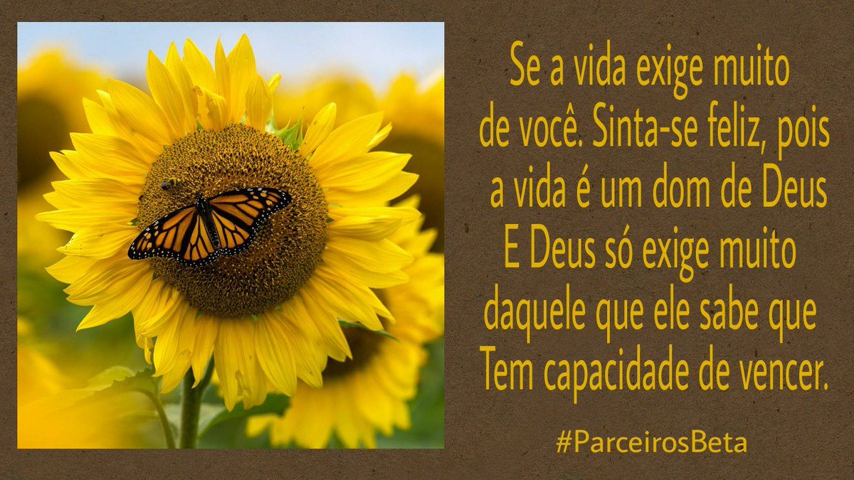 Rdb.lab#Parceirosbet tweet media