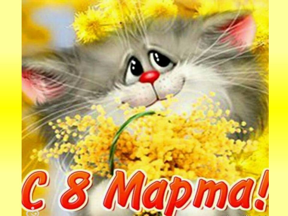 Картинка с 8 марта котенок