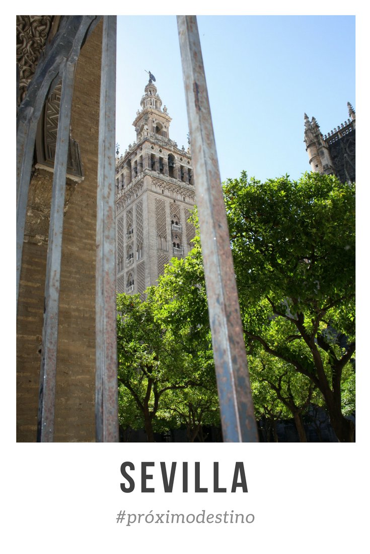 PastView's tweet photo. #PastView Que el mal tiempo de estos días en #Sevilla no te impida disfrutar de estampas como ésta. ¡La #primavera ya está al llegar! 🌺🌻🌷 https://t.co/o3eSdjXhbo