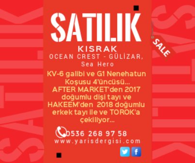 Satılık Kısrak - ÇAMSAKIZI
yarisdergisi.com/satilik-atlar/…