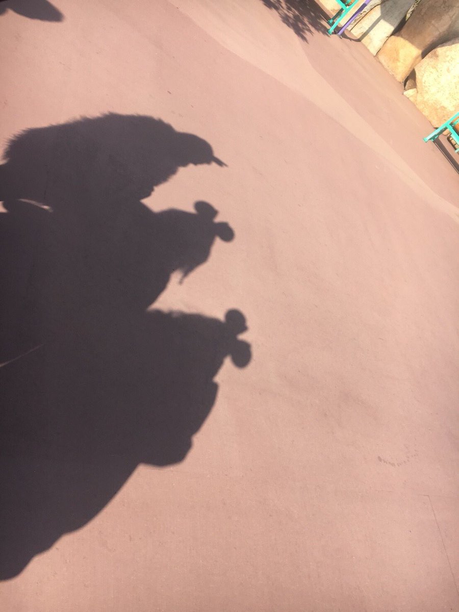 _riyoko_v's tweet photo. そういえばペコディズ楽しかっただ
次は日曜日だ〜〜わーいたのしみ https://t.co/a6n9155HXu