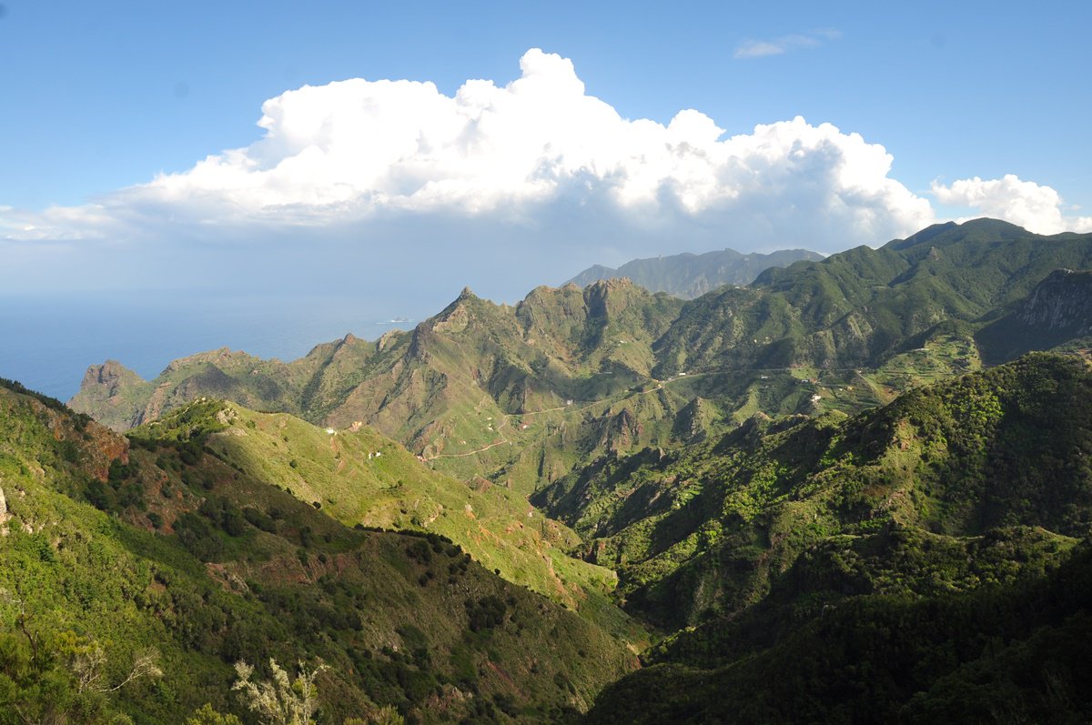 Bosques prehistóricos, acantilados y playas en el Macizo de Anaga - jetcost.es/blog-de-viajes…