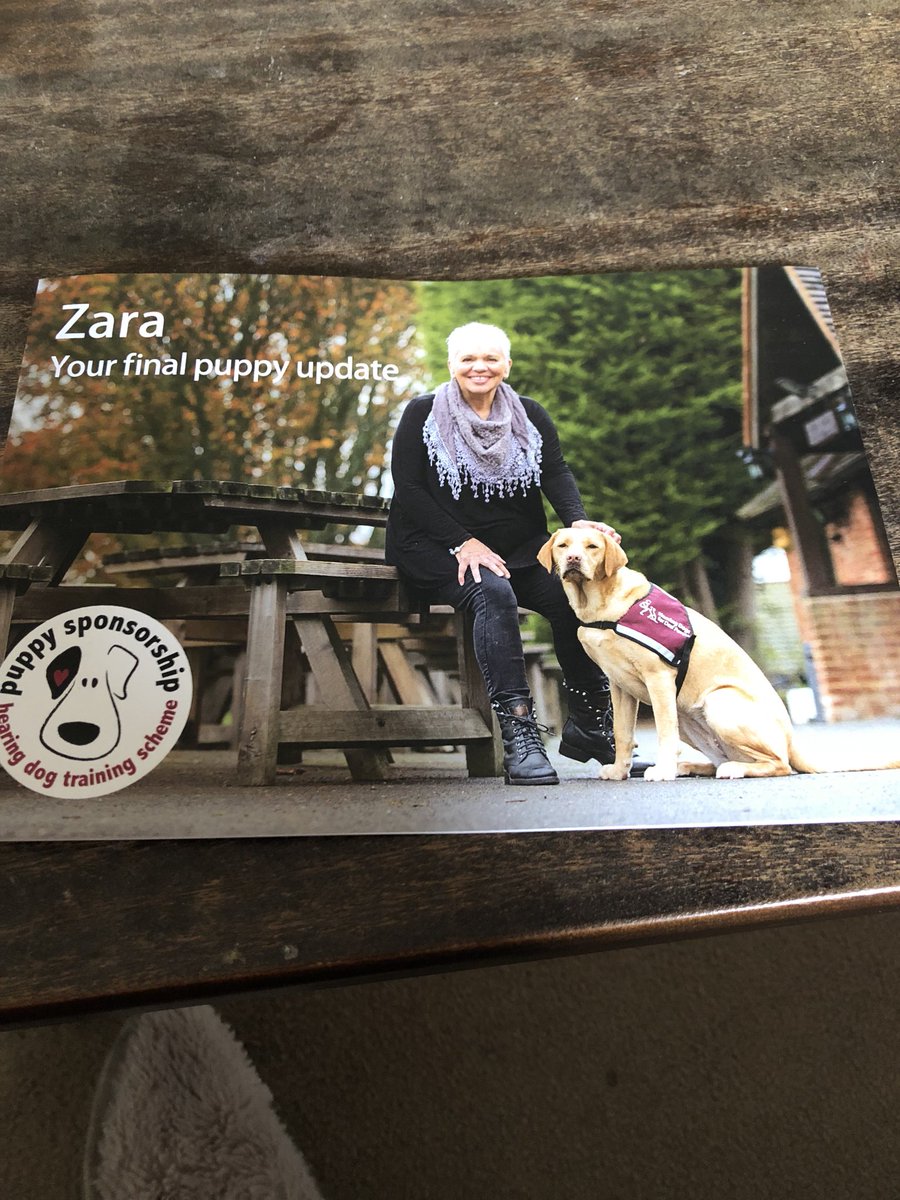 BeOpenToLife's tweet image. @HearingDogs It’s always exciting to see your puppy graduate and get to know your new one!!! #changinglives