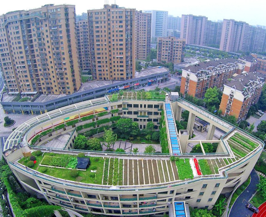 d_akkers's tweet photo. Een Chinese school in #Hangzhou heeft 'n complete biologische #DakAkker op haar dak van 2000 m2 ... "we willen kinderen in contact laten komen met de natuur en gezond voedsel" aldus de school ... lees: https://t.co/oXSKdYy4SI https://t.co/cPlXwBq06m