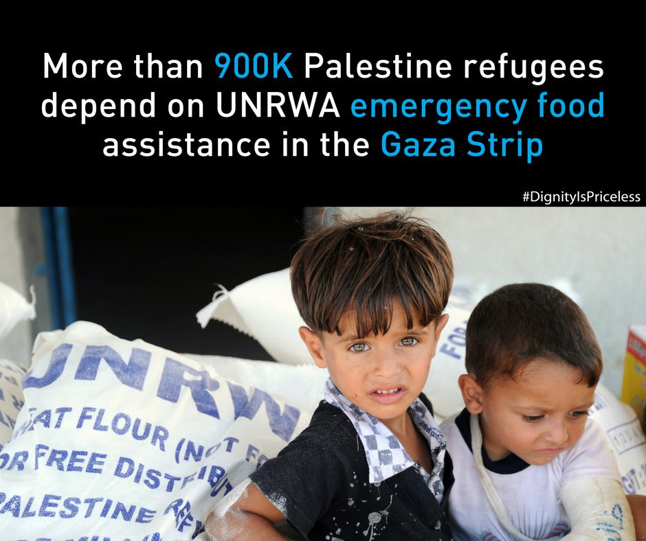 60% of young people and women in Gaza are unemployed. Palestinian refugees in the Gaza Strip depend on UNRWA. Without their aid the lives of Palestinian refugees are at risk.
#GazaOnTheBrink