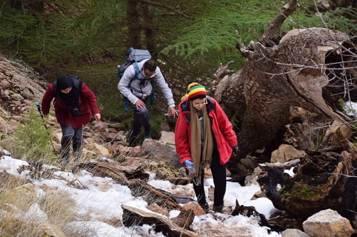 hala aouragh (@halaarg) on Twitter photo 