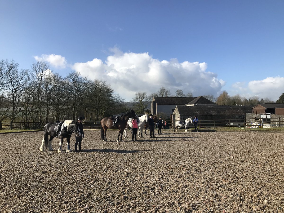 EllenEllieag's tweet photo. First time riding on the refurbished arena !! @ColegSirGar @MikeWilliamsCSG @CarolineNewma #tobeexcellent https://t.co/9BrLrDnVrc