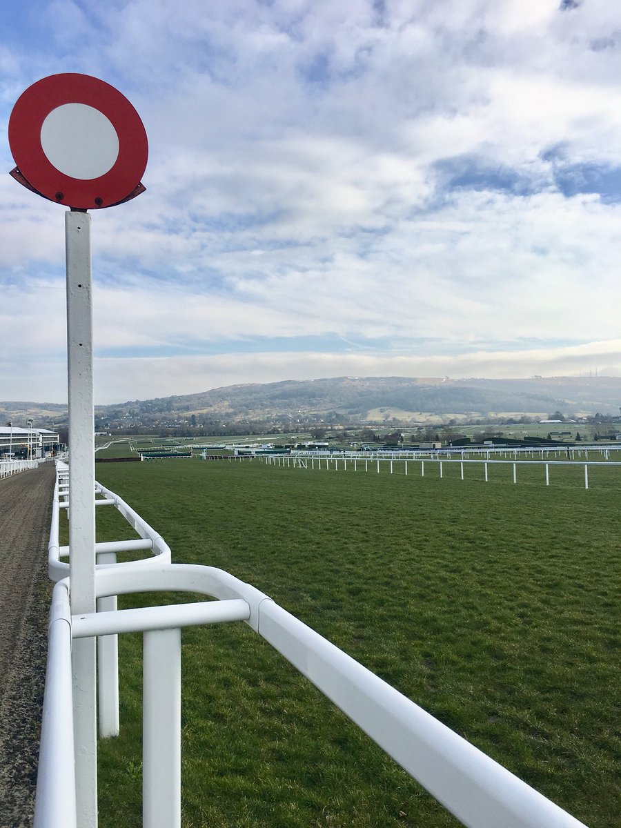 A beautiful morning here today! ☀️

The Going is currently SOFT, GOOD TO SOFT IN PLACES. 

#TheFestival #IllBeThere