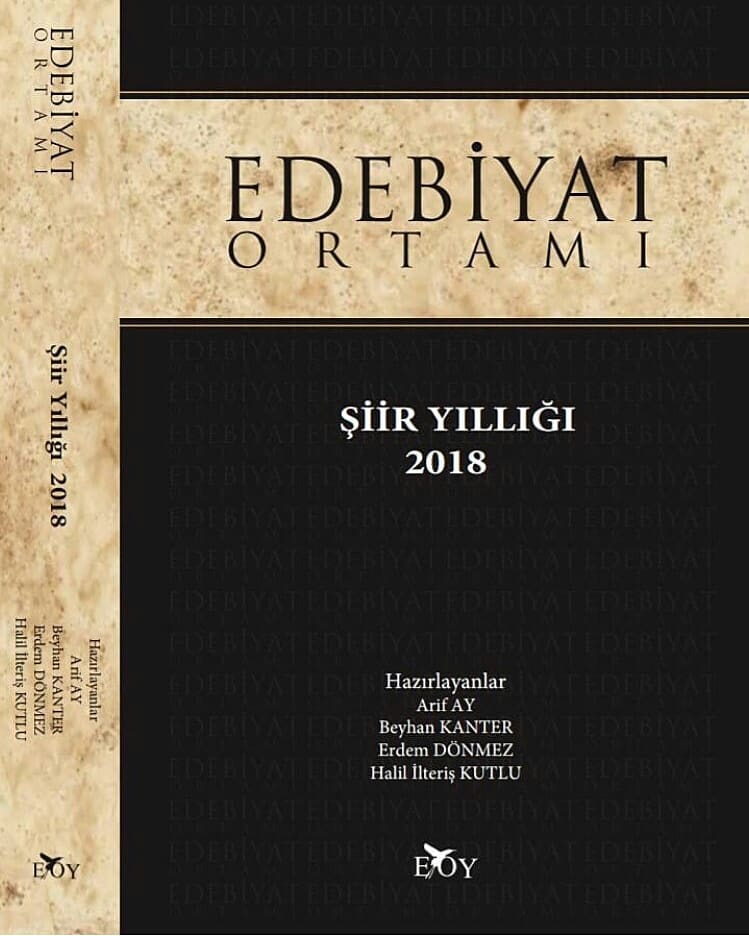 edebiyat ortamı Åiir yıllıÄı 2017 ile ilgili görsel sonucu