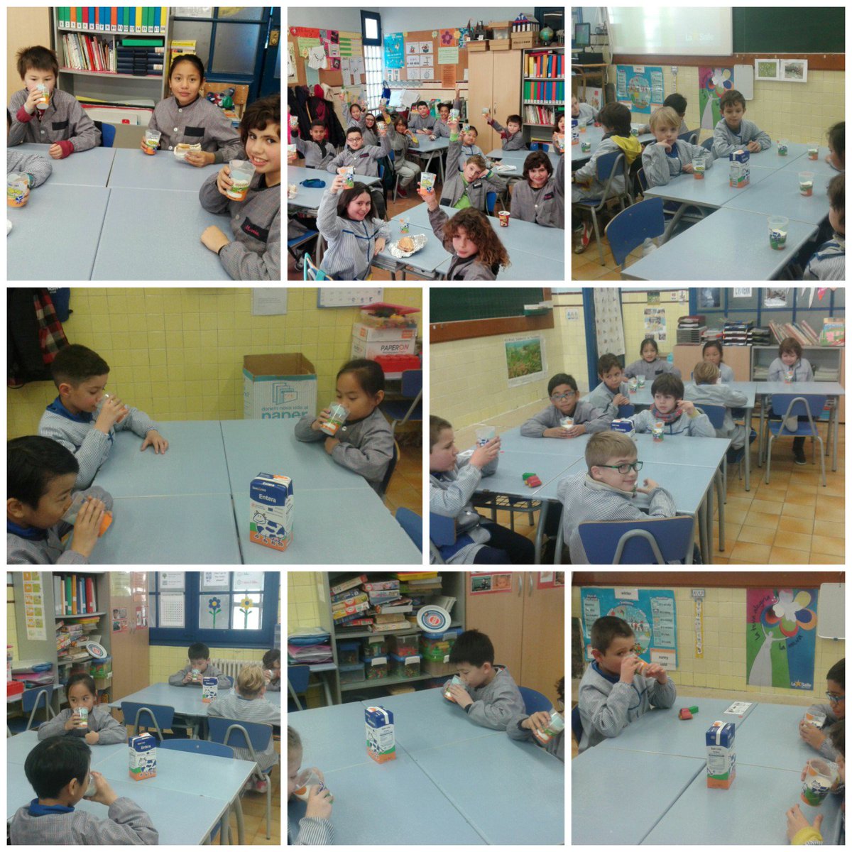 LaSalleComtal's tweet image. Comencem la campanya de llet a l'escola. Cada dia prendran un got de llet a la classe per esmorzar. #llet #SalutEscola #MiramésEnllà