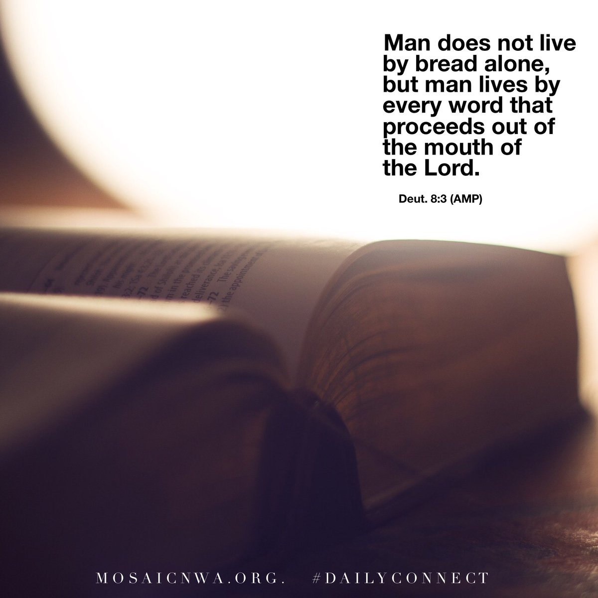 MosaicNWA's tweet photo. #DailyConnect: Deuteronomy 8
#LiveByTheWord https://t.co/hEHMIbyMFG