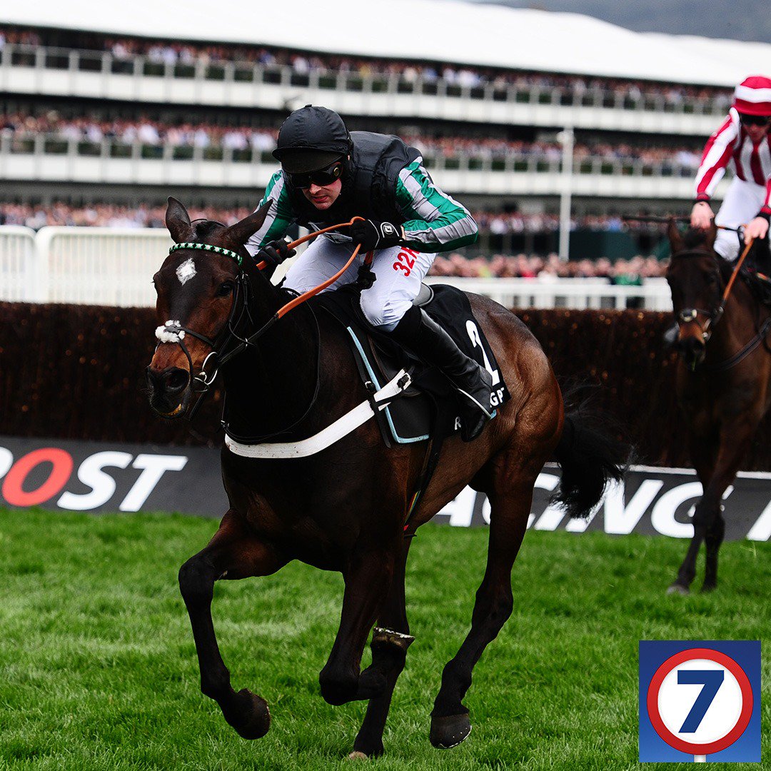 Pick7's tweet image. ⏳ Seven days until this could become a reality.

🏇 Altior vs Douvan vs Min.

🤔 Who wins the QMCC? #CheltenhamFestival
