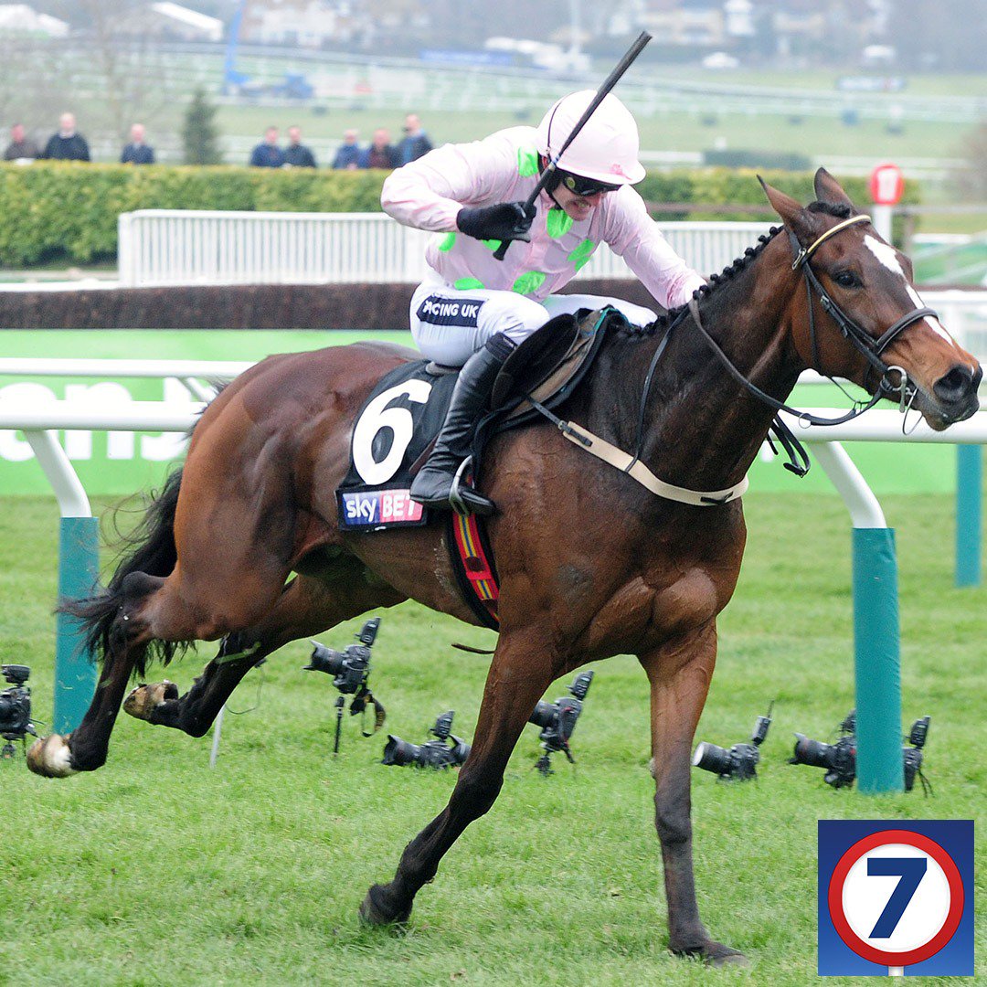 Pick7's tweet image. ⏳ Seven days until this could become a reality.

🏇 Altior vs Douvan vs Min.

🤔 Who wins the QMCC? #CheltenhamFestival