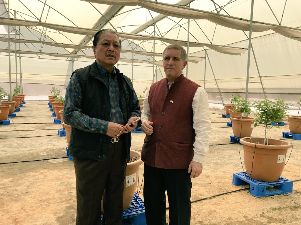 MASHAVisrael's tweet image. A new #IIAP Indo-Israel Center of Excellence for Fruits was inaugurated by Ambassador of @IsraelinIndia and the Chief Minister of #Mizoram in Lunglei – the first ever in Northeast India!
