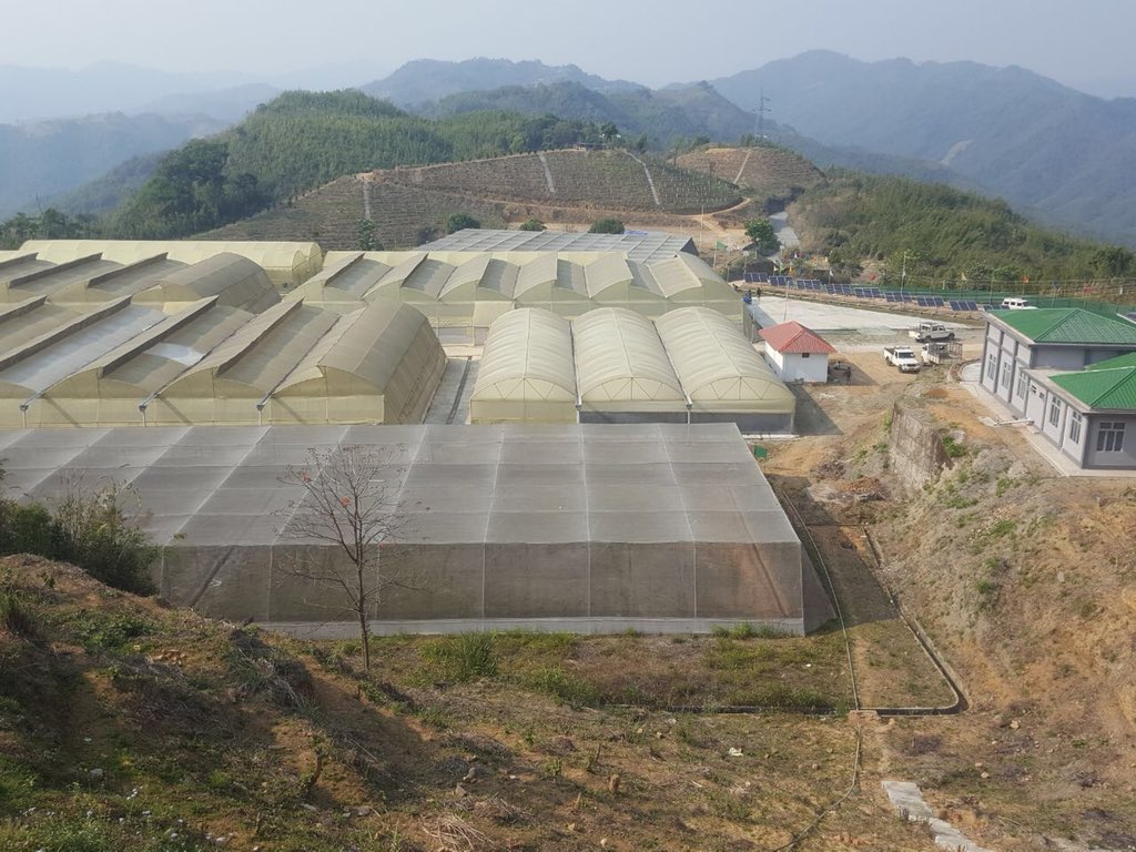 MASHAVisrael's tweet image. A new #IIAP Indo-Israel Center of Excellence for Fruits was inaugurated by Ambassador of @IsraelinIndia and the Chief Minister of #Mizoram in Lunglei – the first ever in Northeast India!