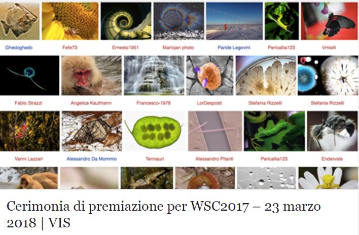 scuolanormale's tweet photo. Venerdì 23 marzo in #SNS la cerimonia di premiazione dei vincitori per l’Italia di "#WikiScienceCompetition2017”, il più grande concorso mondiale di fotografia scientifica, organizzato dagli utenti delle piattaforme Wikimedia: https://t.co/GZ9PW6xC2N https://t.co/pnT81PNLvS