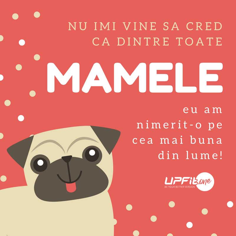 UPfit_one's tweet photo. Pentru toate mămiciile cool: https://t.co/DYQl5n1xN7

#8Martie #ZiuaFemeii #ZiuaMamei #UPfitSquad https://t.co/i8HHVN8ppG