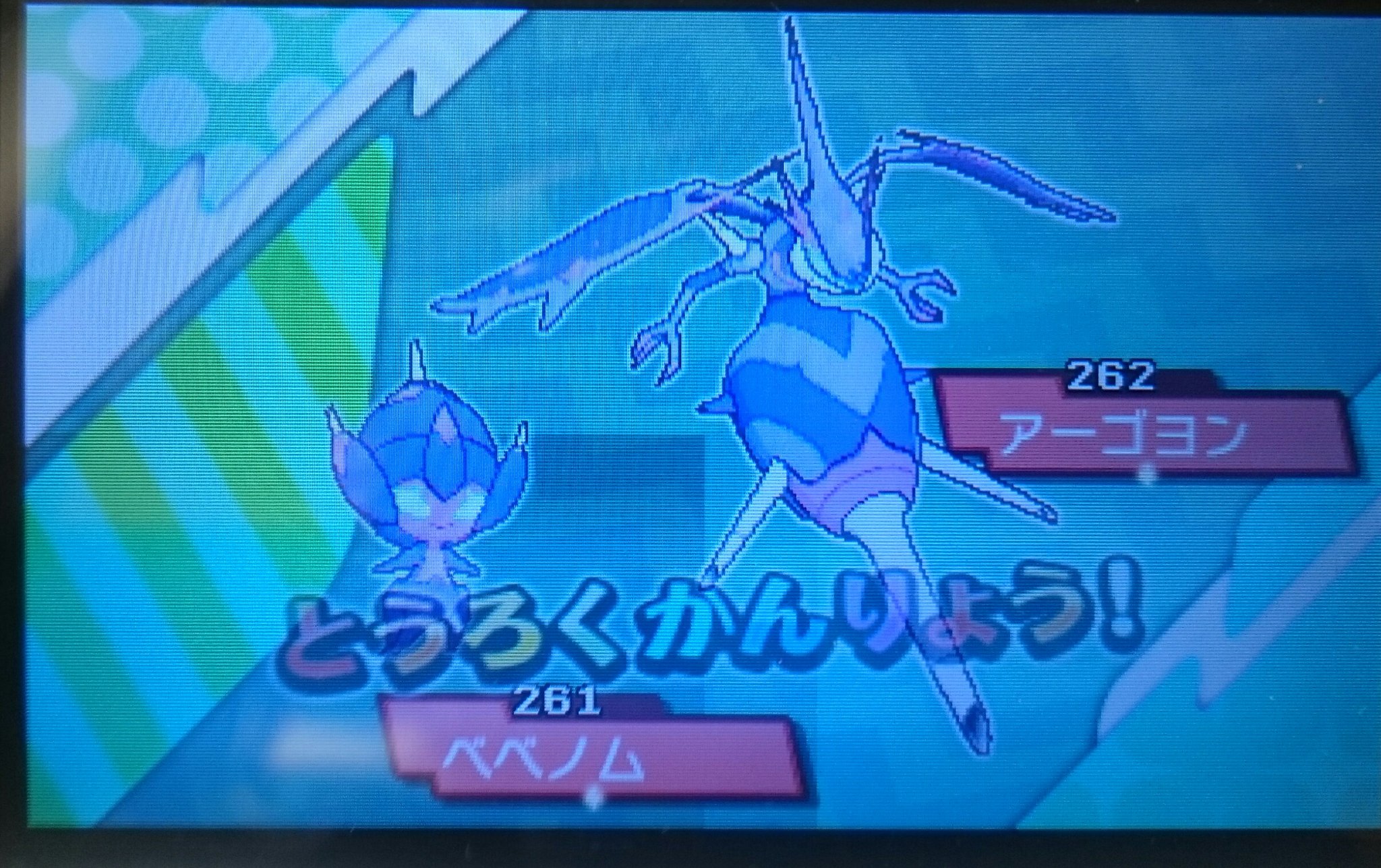 Orasのマツブサ様が好き ベベノム進化 ｷﾀ ﾟ ﾟ アーゴヨンget ﾔﾀ ヽ ﾉ アローラ図鑑 ポケモン図鑑 コンプリート ベベノム進化 アーゴヨン T Co Quselr9pfz Twitter