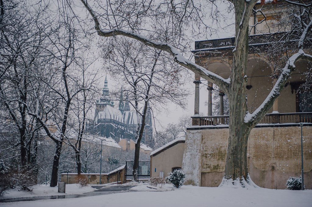 SirTobys's tweet photo. Last week: -12 degrees. This week: snow. #springwhereareyou? https://t.co/bi28OIYvxx