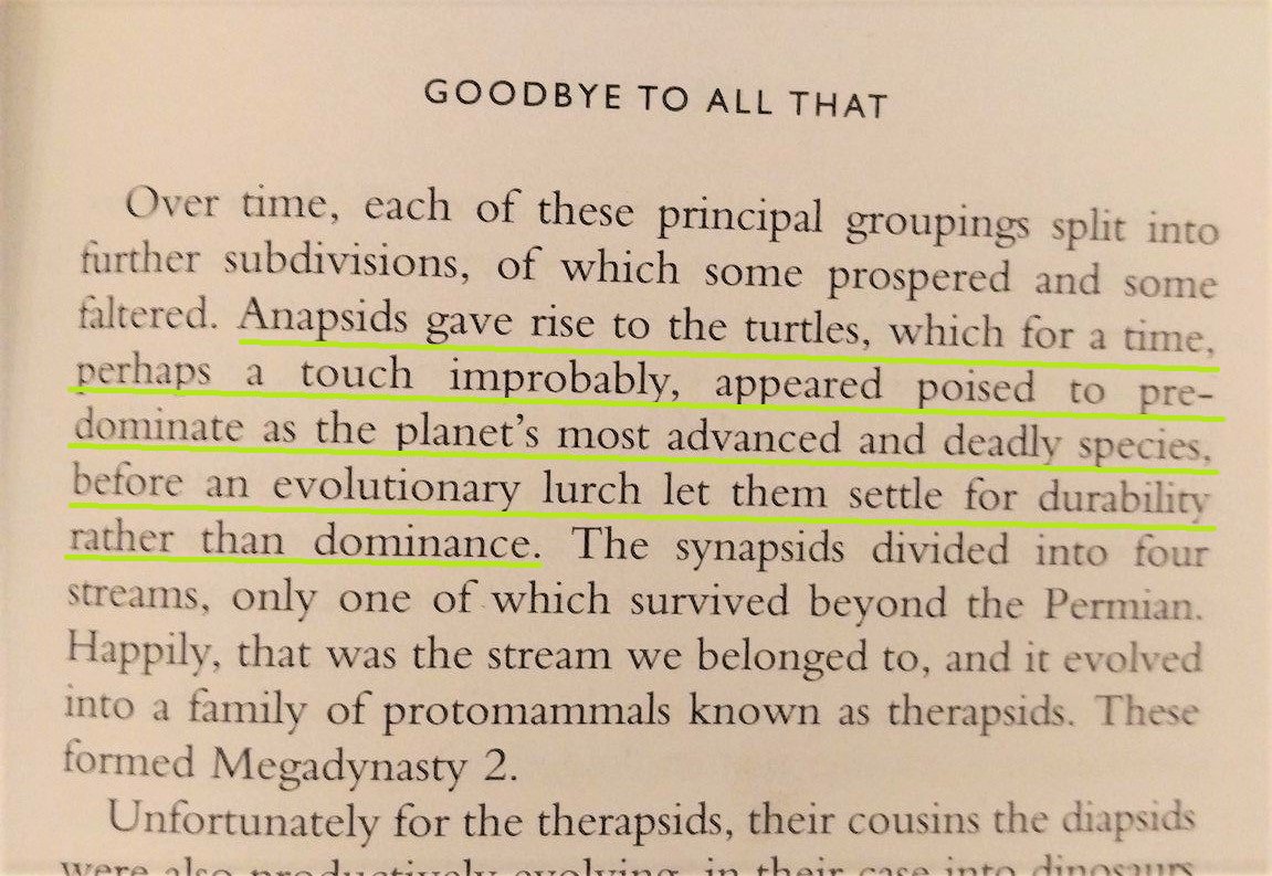 theverbalturtle's tweet photo. My #favourite sentence ever from Bill Bryson's - A Short History of Nearly Everything. #gentlegiants #turtlepower #durabilityoverdominance https://t.co/E9Hv3fk47M