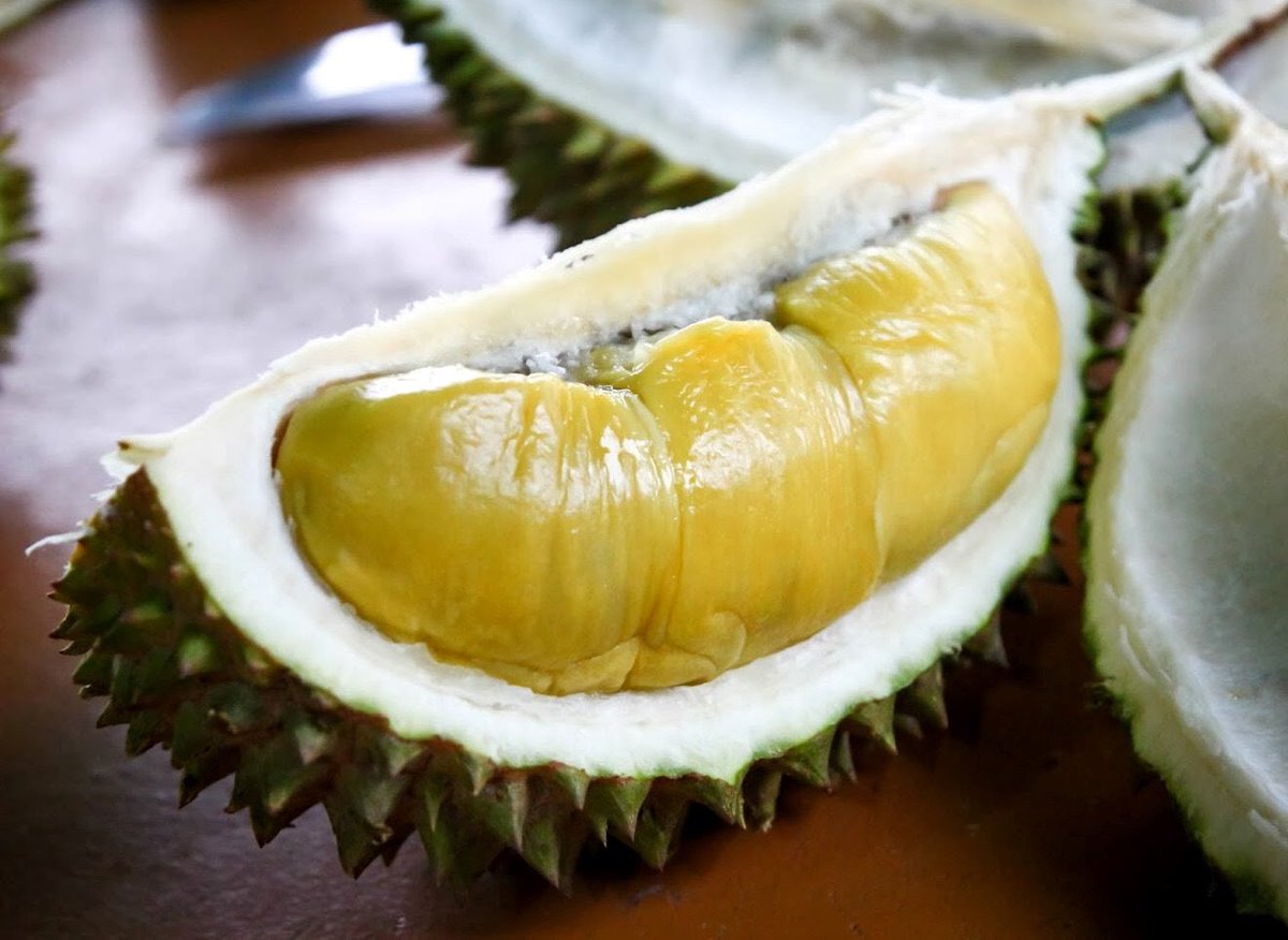 chememagno's tweet photo. #Durian: il frutto più #puzzolente al mondo! https://t.co/HMyc2qB9am
@dietaokit https://t.co/plqBodeAIz