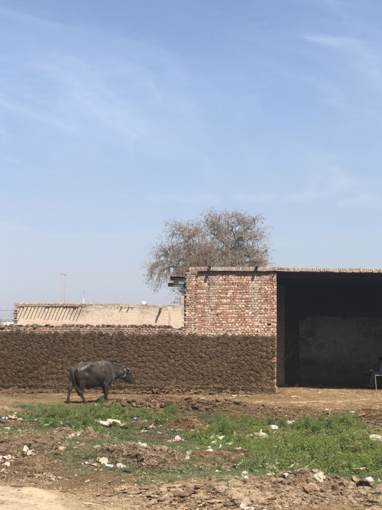 ninistan tweet media