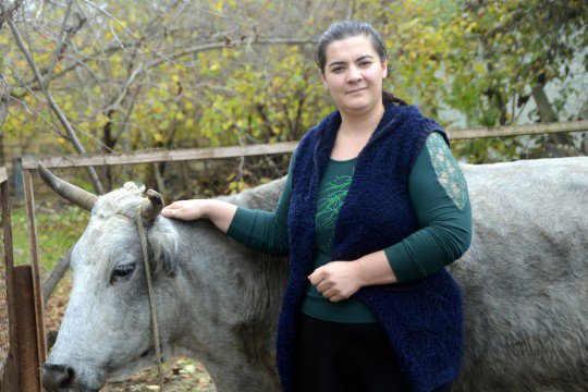 UNDPEurasia's tweet photo. Our #UNDPEU partnership supports women from rural areas of #Azerbaijan in launching their own businesses. Gunay started a small cattle business. “I would never let my children become victims of early marriages”, she says #TimeIsNow #IWD2018 https://t.co/maTJl508t2 https://t.co/OOjqdTnGaf