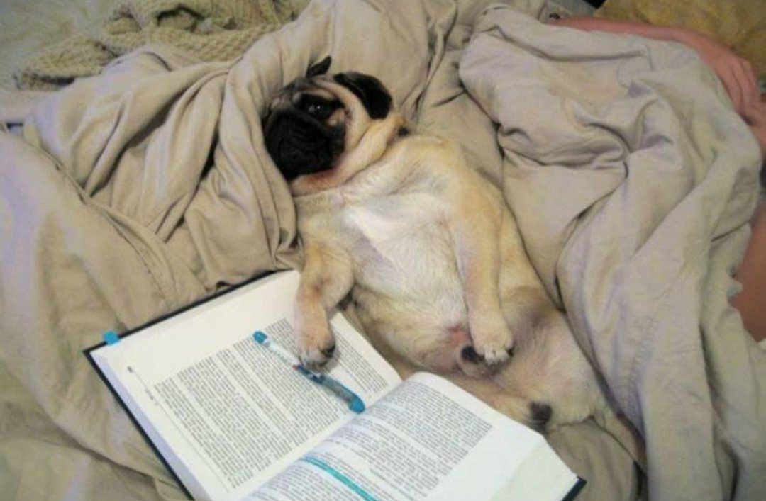 Juristanloqcido's tweet photo. Cuando llevas dos horas estudiando Administrativo y te preguntan qué tal vas. https://t.co/7421PNMvAk