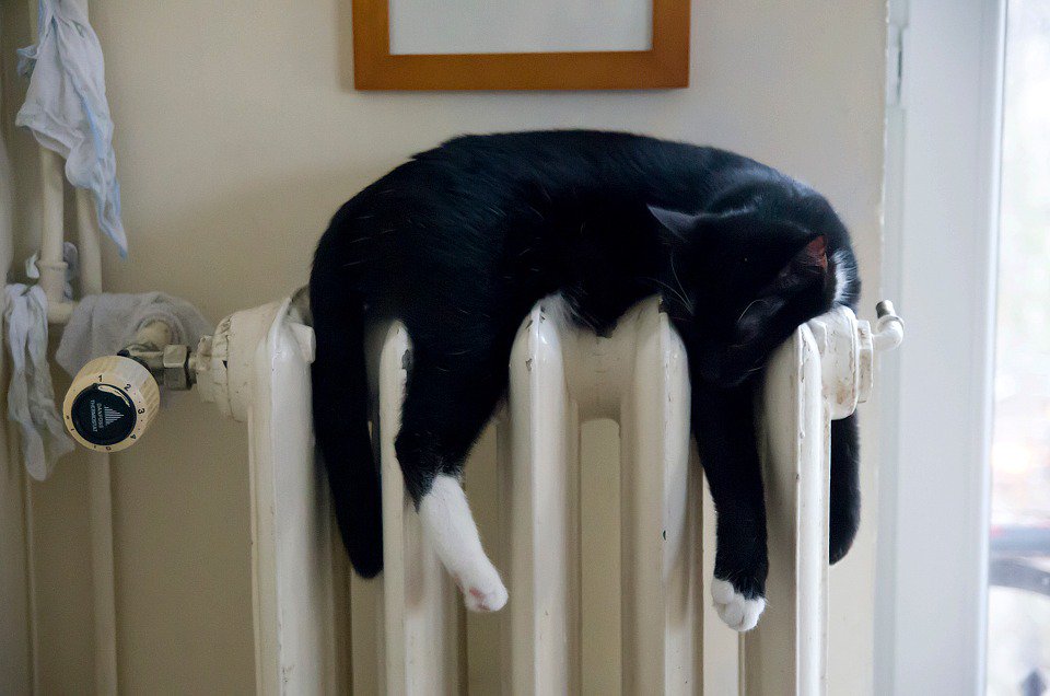 heatcraftltd's tweet photo. Really important stuff, this. @WhichUK's guide on 'How to deal with your #energysupplier when #movinghouse' deals with a big issue a lot of people have. We connect #newhomes with #heat and #power, but what happens when you move in? READ the article HERE: https://t.co/SxaxwxGS0x https://t.co/K0hcrYJWXW