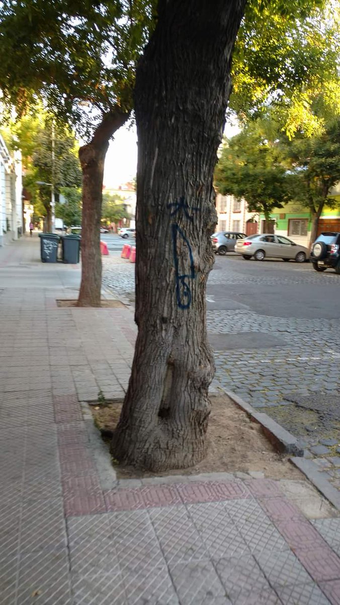 Pam_itha's tweet photo. @Muni_Stgo @AlessandriFelip Está imagen nos recibe cada día en José Miguel Carrera. https://t.co/Wa9XthZcNP