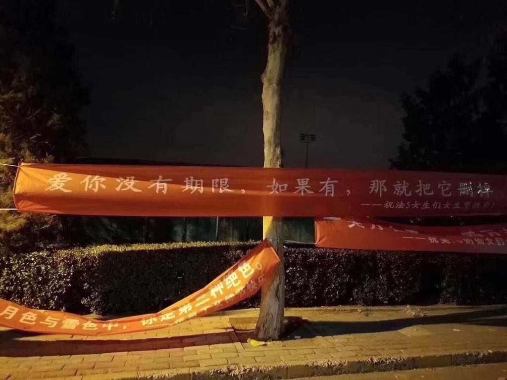 今天清华大学女生节标语。