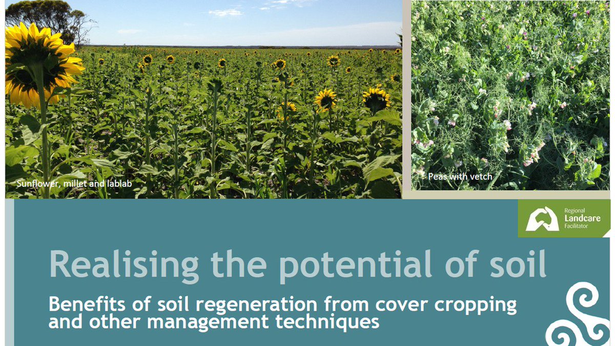 ag_southwestnrm's tweet photo. Cover cropping for soil improvement and weed mgmt: Two case studies from SW WA at the #Woolarama Ag shed this Fri &amp; Sat https://t.co/QZJ9Wg6udg