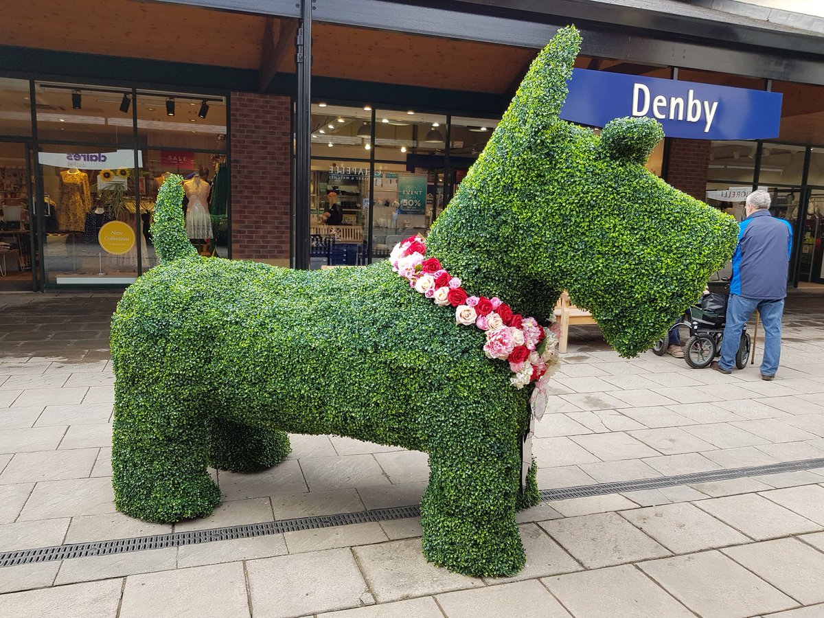 Fantastic dog sculpted from an hedge 😍 thought it was advertising Radley 🛍 lol but no... just a random thing from Nottinghamshire 🤣😂 #LoveNotts #LoveEngland #DayOut 💗