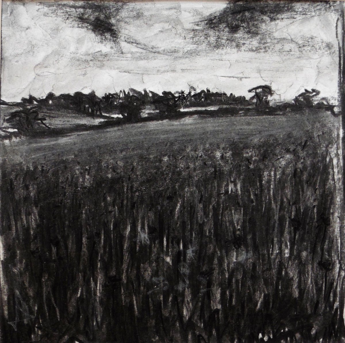 2018 CHAFF member Tina Dodd focuses on monochromatic exploration of the local landscape.  She uses charcoal, graphite and printmaking techniques to evoke the atmosphere of the Mendip Hills and surrounding #artstrial  #chaff #cheddarartsfringefestival2018 #cheddarartist