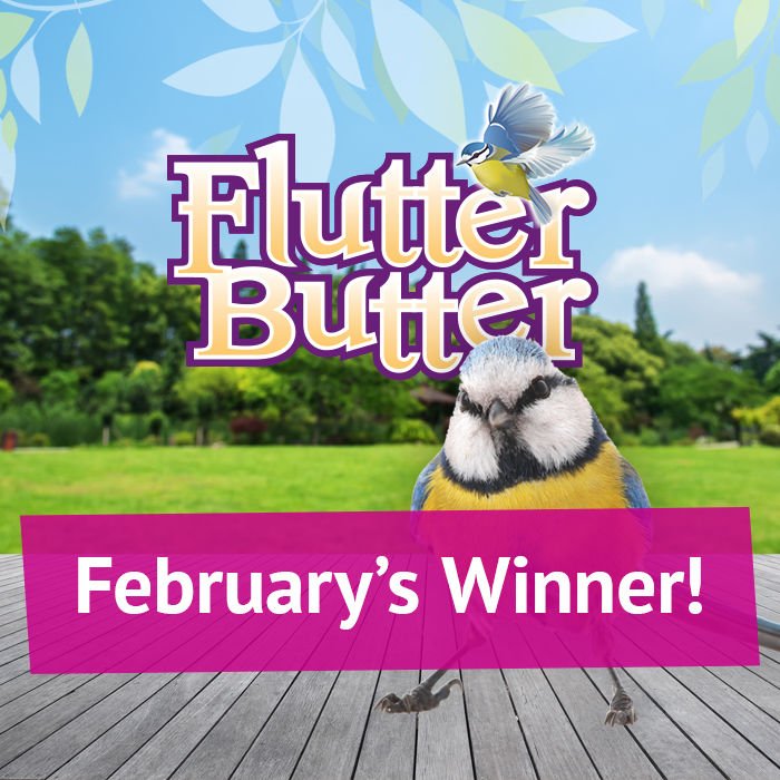 Flutter Butter tweet media