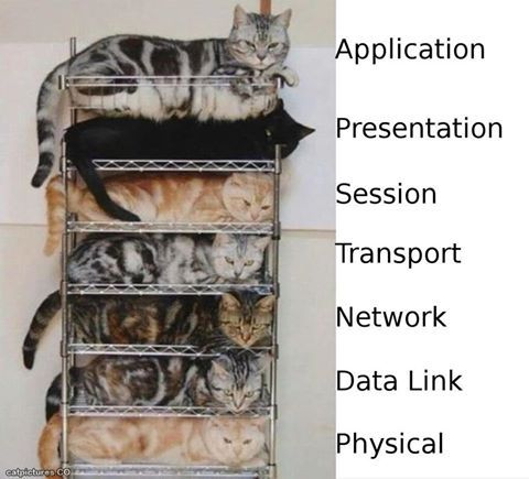 MariaSymfony's tweet image. Time to refresh my knowledge of OSI model 😂