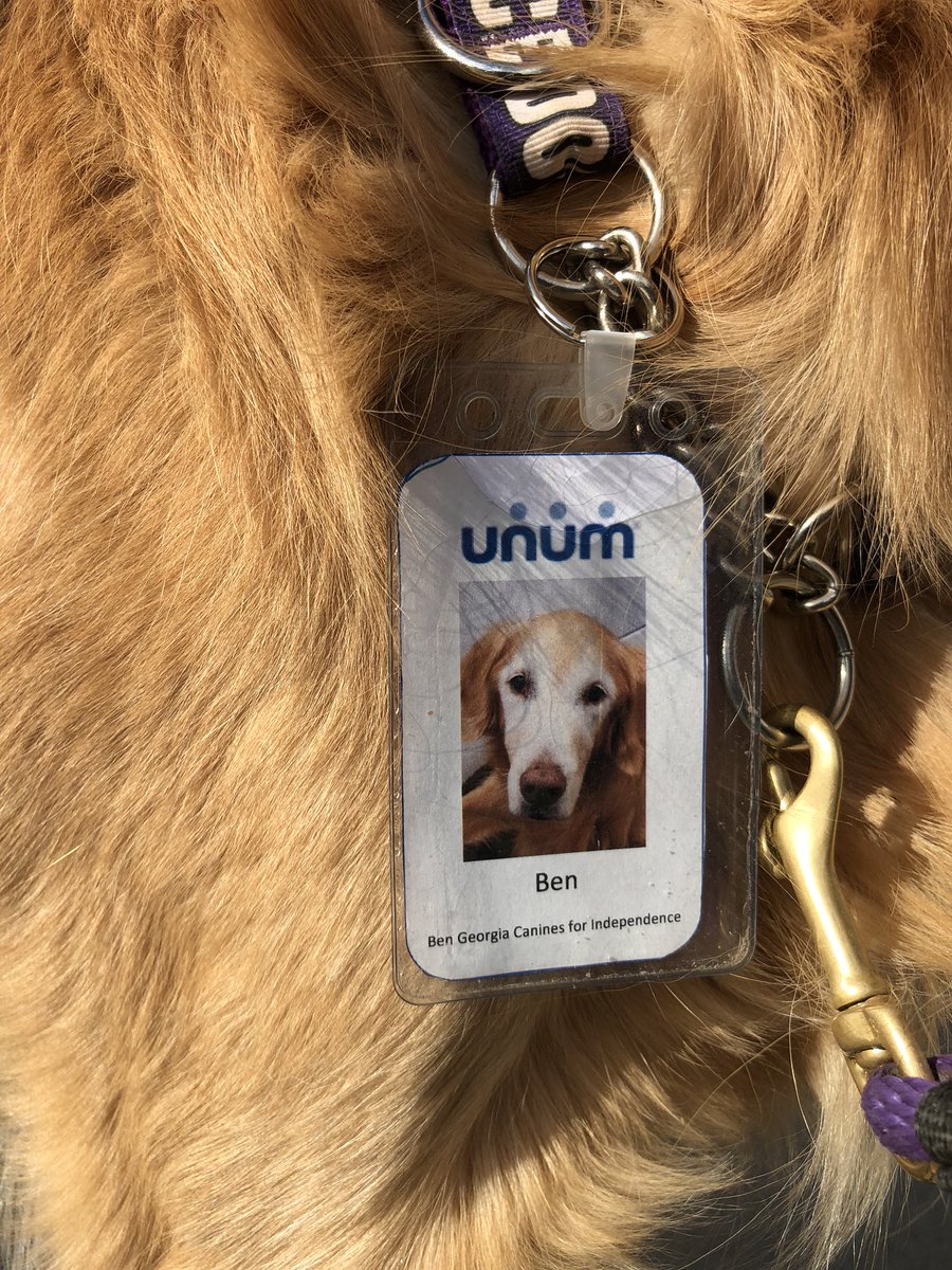 gcidogs's tweet photo. Ben got his badge &amp; is ready to work! Special thanks to our wonderful partner Unum for their amazing support through a $5,000 grant awarded to GCI &amp; through the Dog at Your Desk program, which provides specially-trained Unum employees to care for &amp; train our dogs @unumnews https://t.co/z9OCJqVzjb