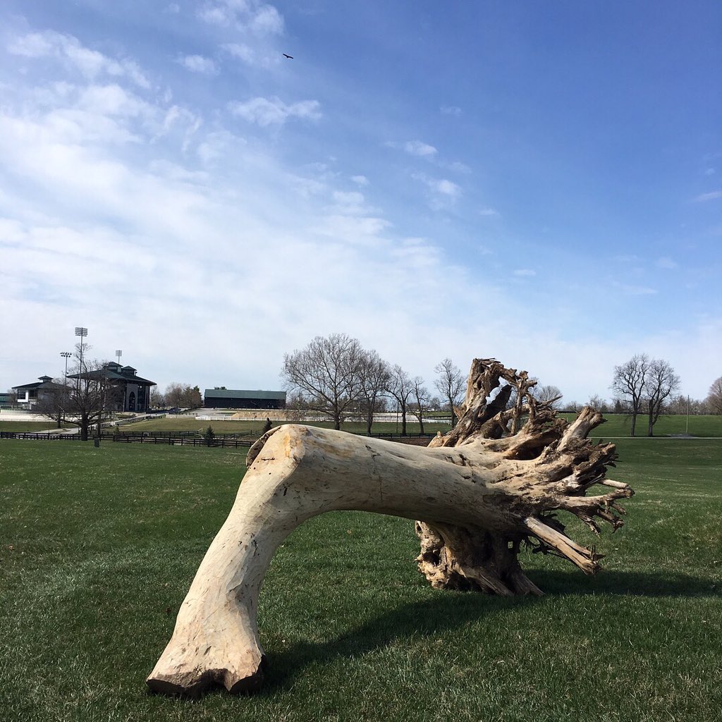 KyThreeDayEvent's tweet photo. Jumps are starting to appear randomly around the #LRK3DE Cross-Country course!! Eeee! Just 50 days now!!! 🐎🐎🐎 #BestWeekendAllYear (Buy tix here https://t.co/jFljsWEg83) https://t.co/XFq02b289V