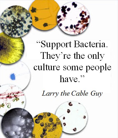 #bacteria #culture #bacteriaremediation #larrythecableguy #quotes #humor #funnyquotes #bacteriaquotes #thermapure #thermapureheat #structuralpasteurization