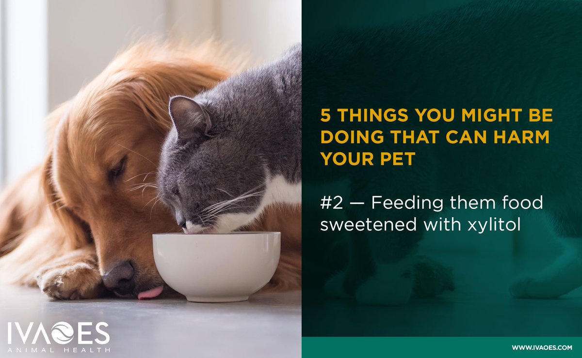 IvaoesAH's tweet photo. This sugar substitute is becoming increasingly popular and is used to sweeten sugar-free food products like candy, gum, mints, yogurt, baked goods and even peanut butter.  can cause liver damage and a potentially deadly drop in blood sugar in dogs. https://t.co/uKGGrIN3Tw