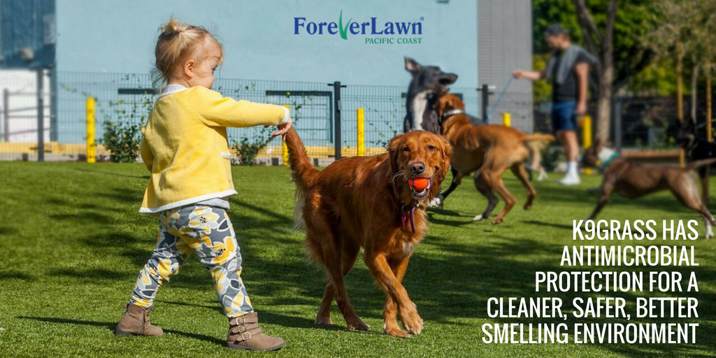 ForeverLawn PC tweet media