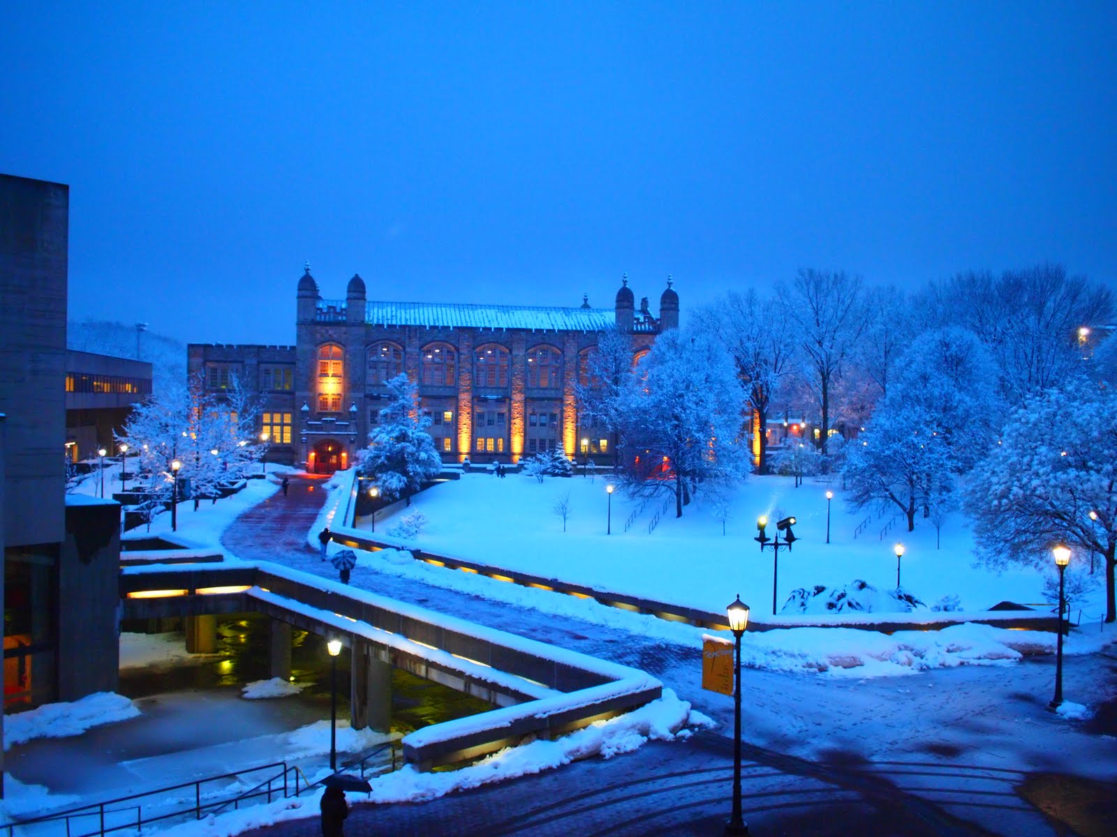 Lehman College on X: "Due to weather conditions, Lehman College will be  closed for all classes and activities as of 4:00 pm on Wednesday, March  7th. Normal operations are expected to resume